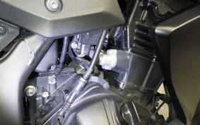 KAWASAKI Z250 2022 ER250C