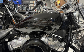 HARLEY FXST1340-1450 2022 BVJ