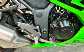 KAWASAKI NINJA 250 ABS SE EX250L