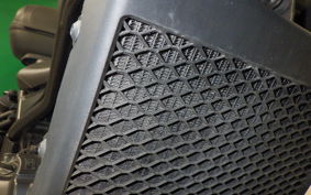 HONDA REBEL 250 1990 MC49