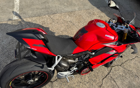 DUCATI PANIGA-REV4S 2018 DA00J