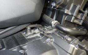 HONDA REBEL 1100 DCT 2021 SC83