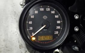 HARLEY XL883N 2021