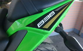 KAWASAKI NINJA ZX-6R 2020 ZX636G