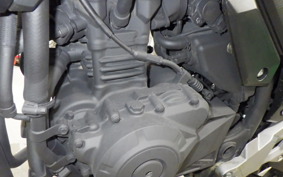 SUZUKI V-STROM 250