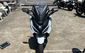 HONDA  FORZA 250 MF17