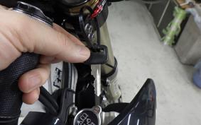 TRIUMPH TF250-E 2014