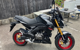 KAWASAKI Z125 PRO BR125H