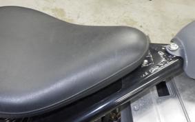 OTHER +UNREGISTERED MODEL by BDS250 2017