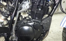 YAMAHA TW225 2006 DG09J