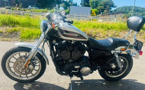HARLEY XL1200R 2006 CLP