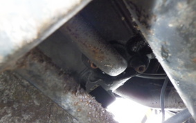 SUZUKI ADDRESS V50 G CA42A