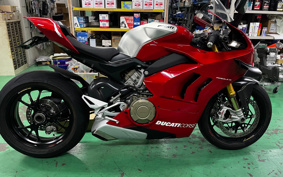 DUCATI PANIGA-REV4R 2019 DA04