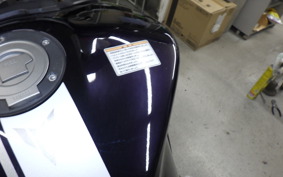 YAMAHA MT-09 2015 RN34J