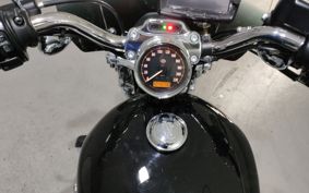 HARLEY XL1200C 2015 CT3