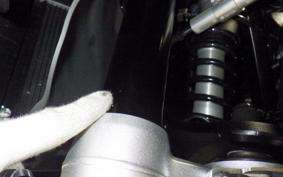BMW R1300RT ASA 2025