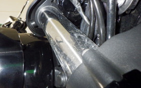 HARLEY FLTRX1920 2024
