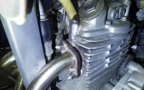 HONDA XR250 BAJA 2010 MD30