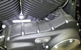 HARLEY XL1200X 2020
