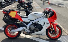 YAMAHA XSR900 GP 2024 RN96J
