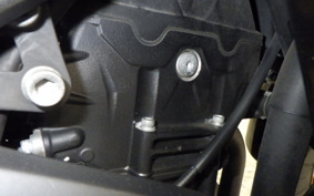 YAMAHA YZF-R25 2019 RG43J