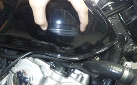 HONDA CB400SF VTEC 2008 NC42