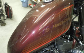 HARLEY XL1200NS 2019