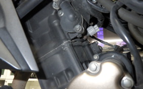 HONDA CB250FA 2004 MC43