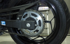KAWASAKI Z250 2022 ER250C