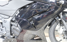 KAWASAKI NINJA 250R EX250K