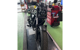 KAWASAKI KLX125D TRACKER X LX250V