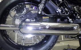 KAWASAKI W800 CAFE 2021 EJ800B
