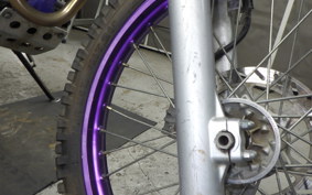 YAMAHA TT250R 2024 4GY