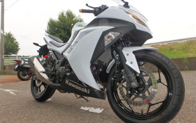 KAWASAKI NINJA 250 EX250L