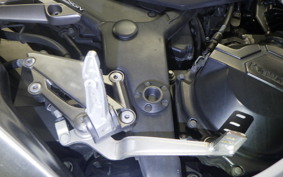 KAWASAKI Z250 2009 ER250C