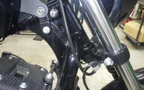 HARLEY XL1200NS 2020