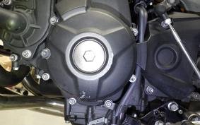 YAMAHA MT-09 2014 RN34J