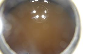 HONDA LITTLE CUB E AA01