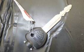 YAMAHA MAXAM 250 SG17J