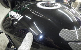 TRIUMPH STREET TRIPLE R 2019