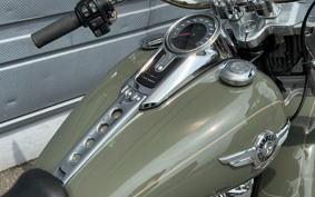 HARLEY  HARLEY FLFBS 2022 YGK