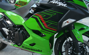 KAWASAKI NINJA 250 KRT ED EX250Y
