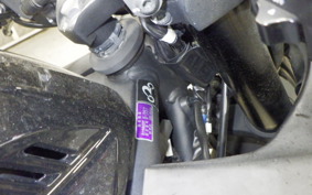 YAMAHA YZF-R25 2006 RG43J