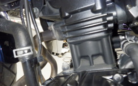 KAWASAKI VERSYS X250Aﾂｱﾗｰ 1999 LE250D