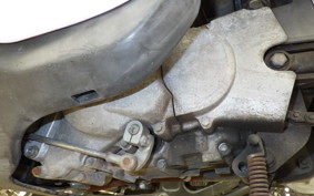 HONDA GIORCUB AF53
