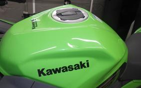 KAWASAKI NINJA 250 EX250P