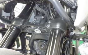 HARLEY ﾊﾟﾝ AMERICA1250S 2024