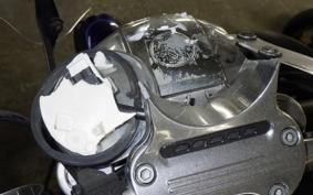 OTHER +HD. XL1200L-I 2006