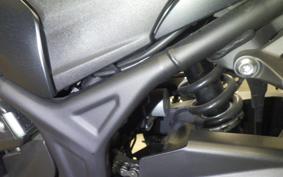 YAMAHA MT-25 A 2009 RG43J