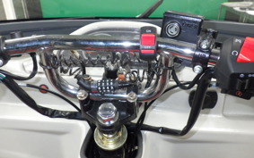 OTHER UNREGISTERED MODEL by BDS TRIKE250 2024